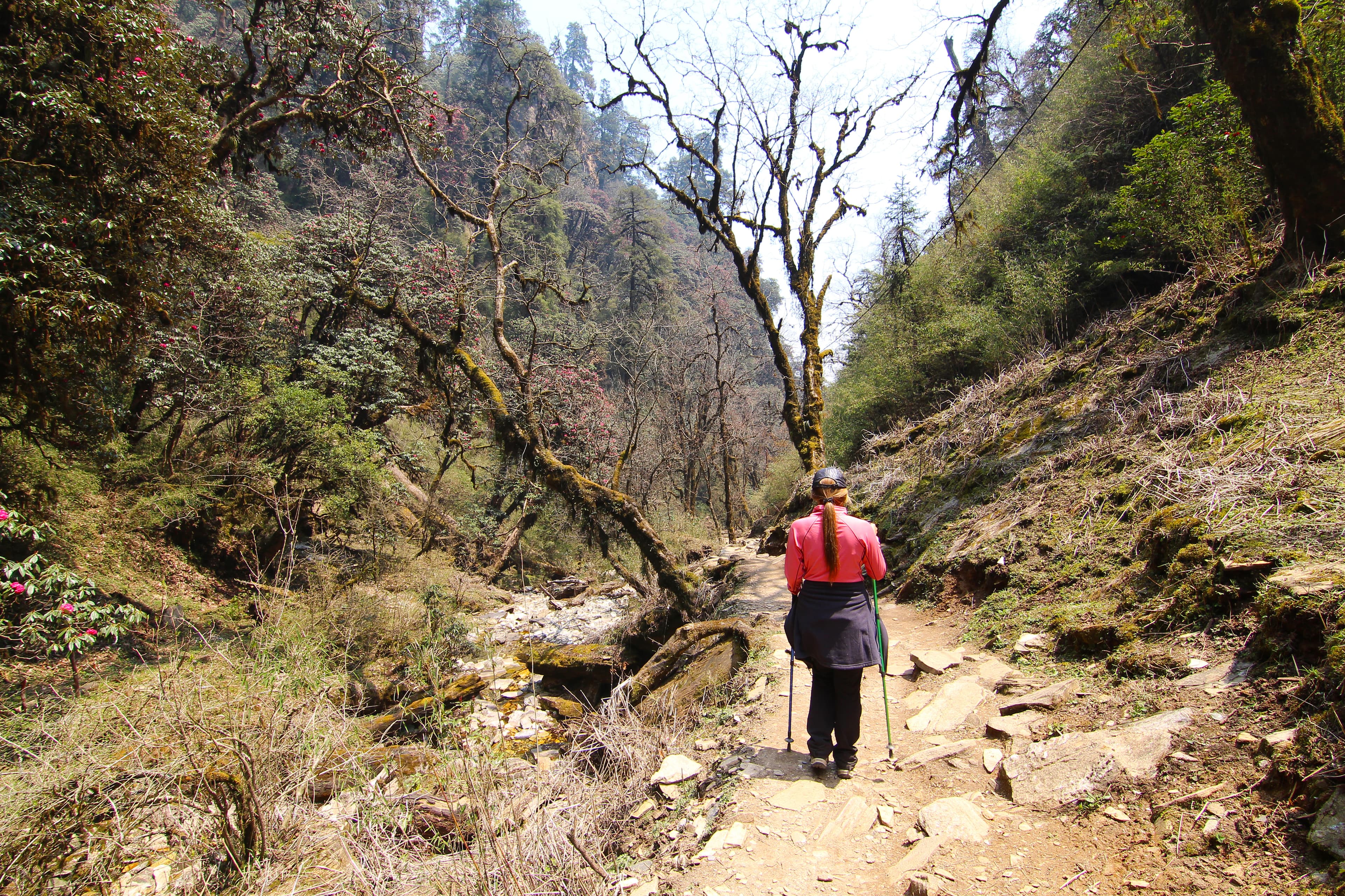 Trekking in Nepal - Ok Travels and Tours Pokhara